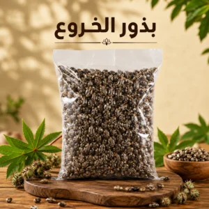 Castor Bean Seeds