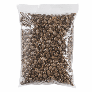 Castor Bean Seeds
